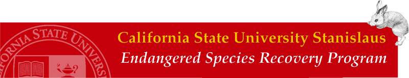 California State University Stanislaus, Endangered Species Recovery Program.  Rabbit graphic courtesey Tristan Edgarian