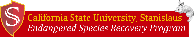 California State University Stanislaus, Endangered Species Recovery Program.  Rabbit graphic courtesey Tristan Edgarian