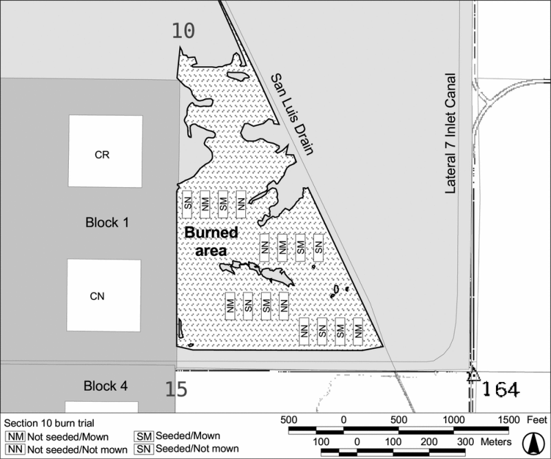 Picture showing the experimental layout of the Burn and Mowing Trial.