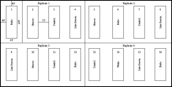 Figure showing the layout of the plots in this trial