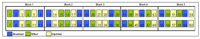 experimental design of the trial