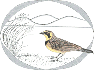 a logo showing a bird next to vegetation with foothills in the background