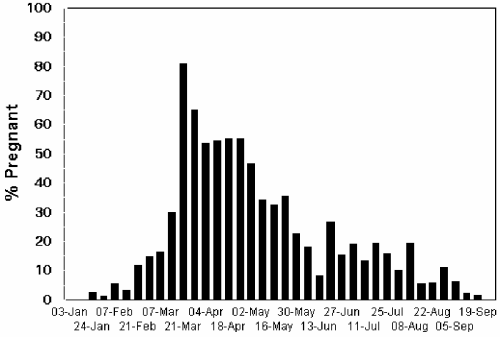 Giant Kangaroo Rat Diets