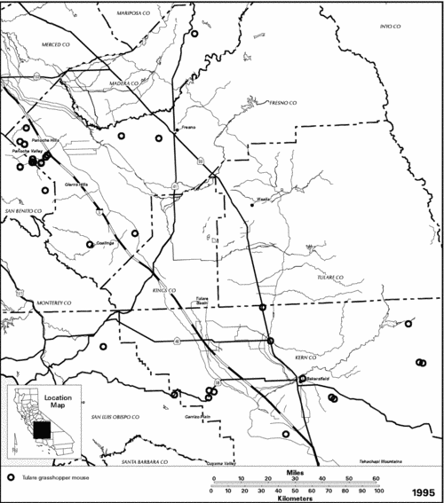 mice great basin pocket mouse washington