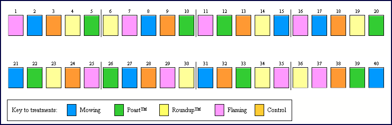 Map showing the layout of the Native Release Trial plots